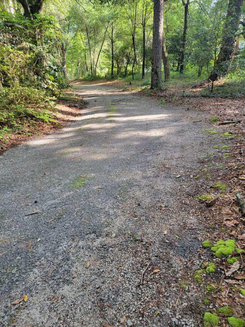 261 Aiken Road Wagener, SC 29164 - Photo 1 of 12