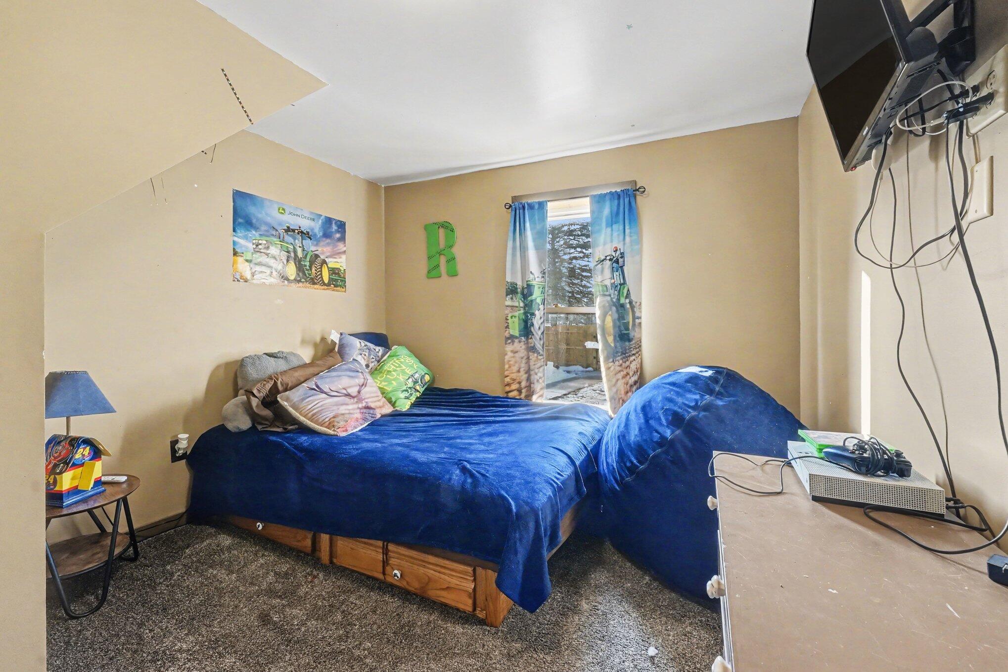 305 South 1st Street Edmore, MI 48829 - Photo 18 of 25 019_file_5848