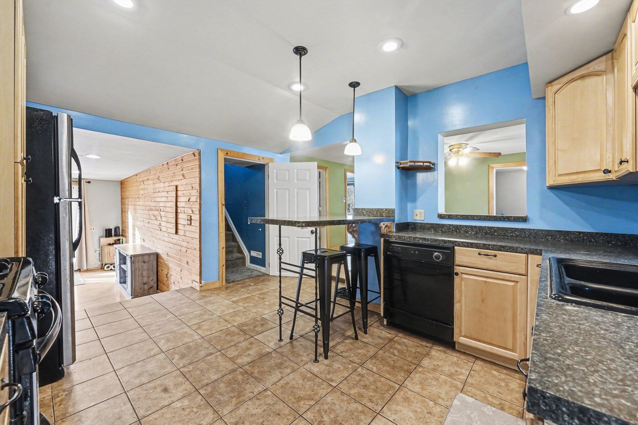 305 South 1st Street Edmore, MI 48829 - Photo 8 of 25 009_file_5031