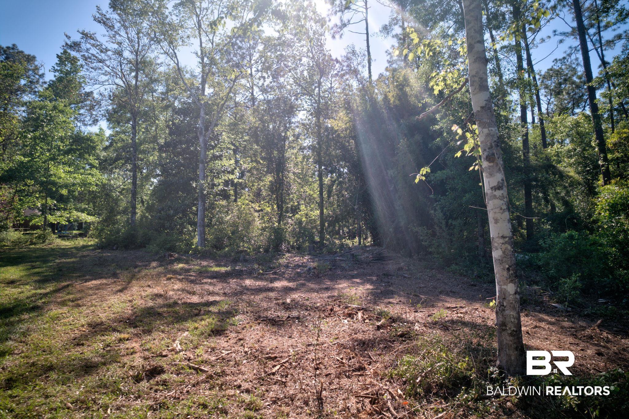 Fox Branch Drive Loxley, AL 36551 - Photo 8 of 15