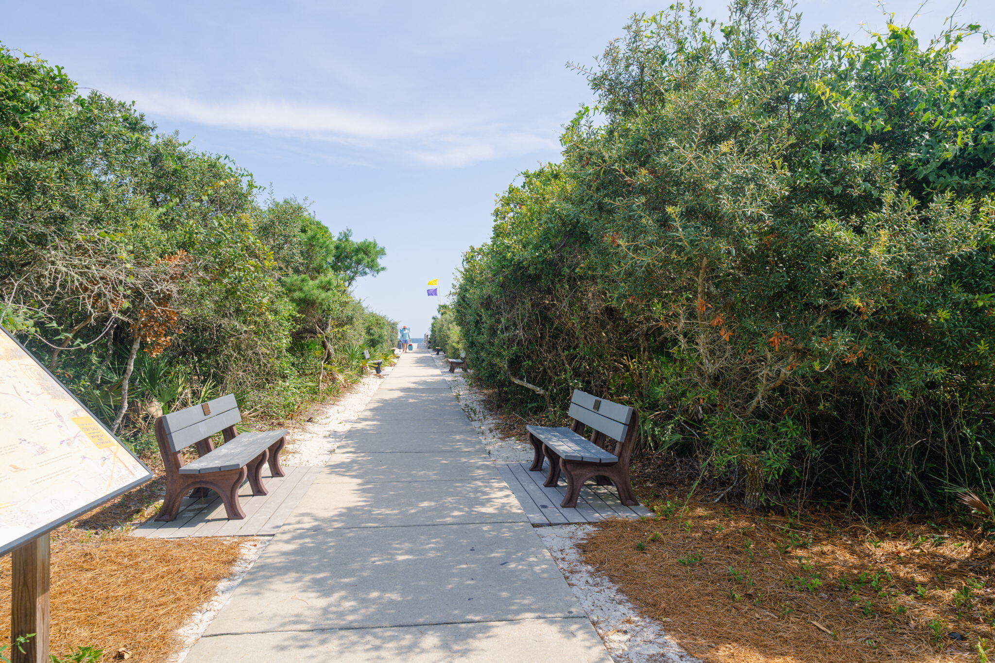 Lot 3 West Park Place Ave Inlet Beach Inlet Beach, FL 32461 - Photo 17 of 30 a view of a pathway with a yard
