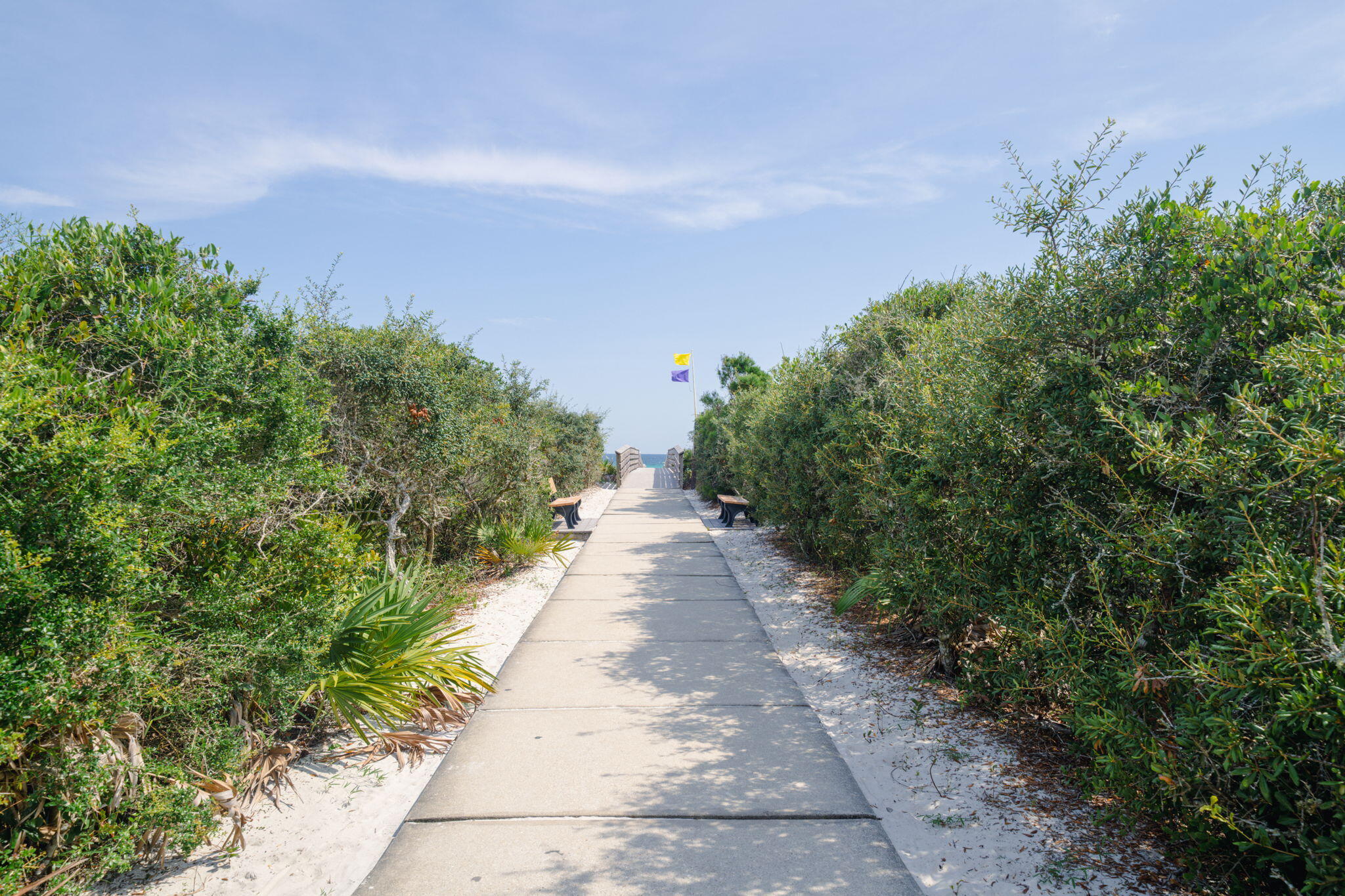 Lot 3 West Park Place Ave Inlet Beach Inlet Beach, FL 32461 - Photo 18 of 30 a view of a pathway with a yard