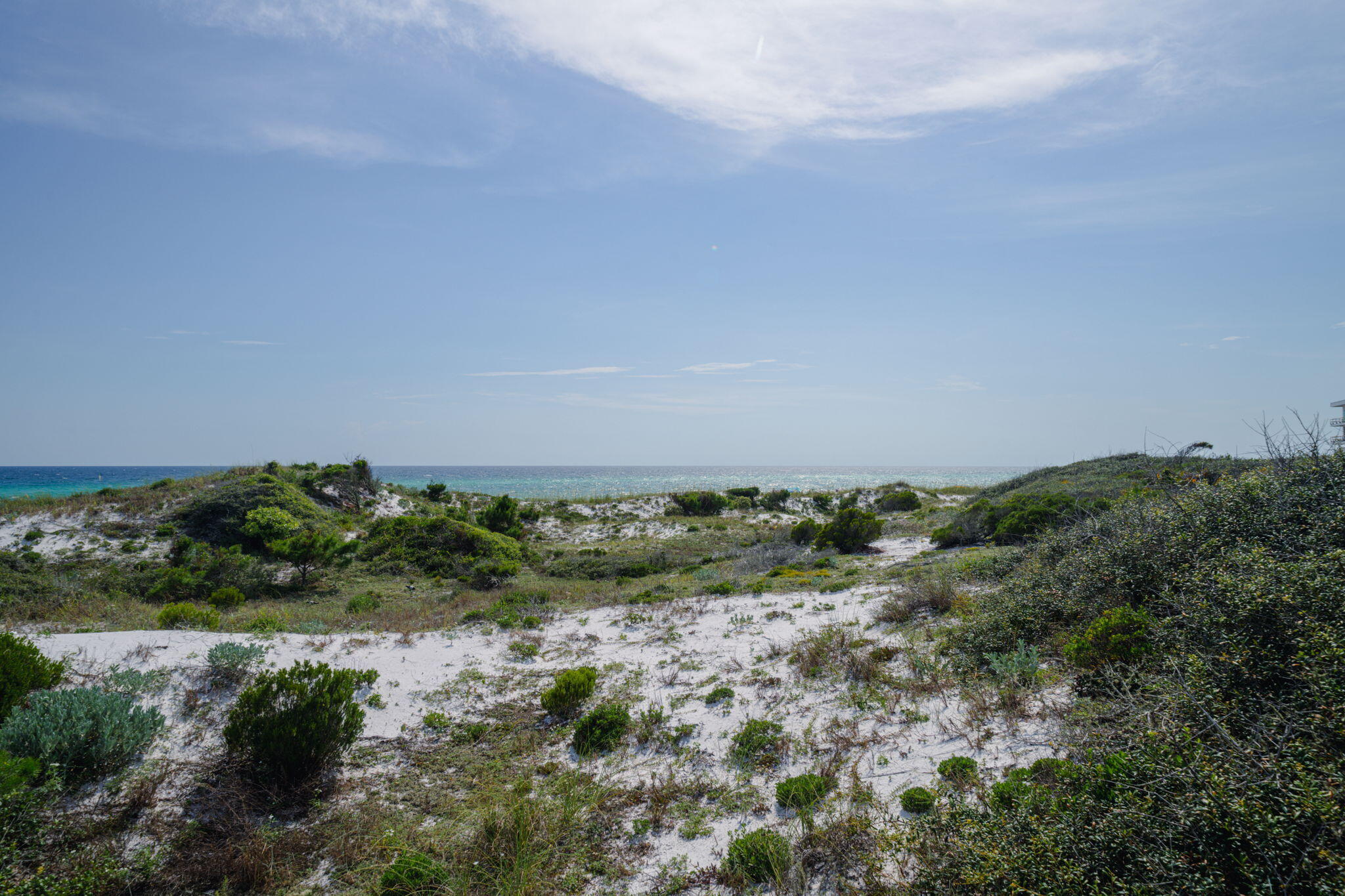 Lot 3 West Park Place Ave Inlet Beach Inlet Beach, FL 32461 - Photo 20 of 30 a view of a bunch of trees and bushes