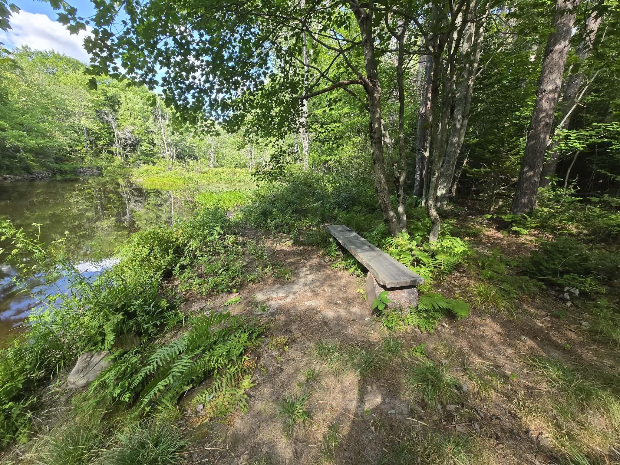Lot12 River Road, Unit LOT 12 Sumner, ME 04292 - Photo 13 of 16 441bfde0-3437-4c89-bf81-958b415915a0