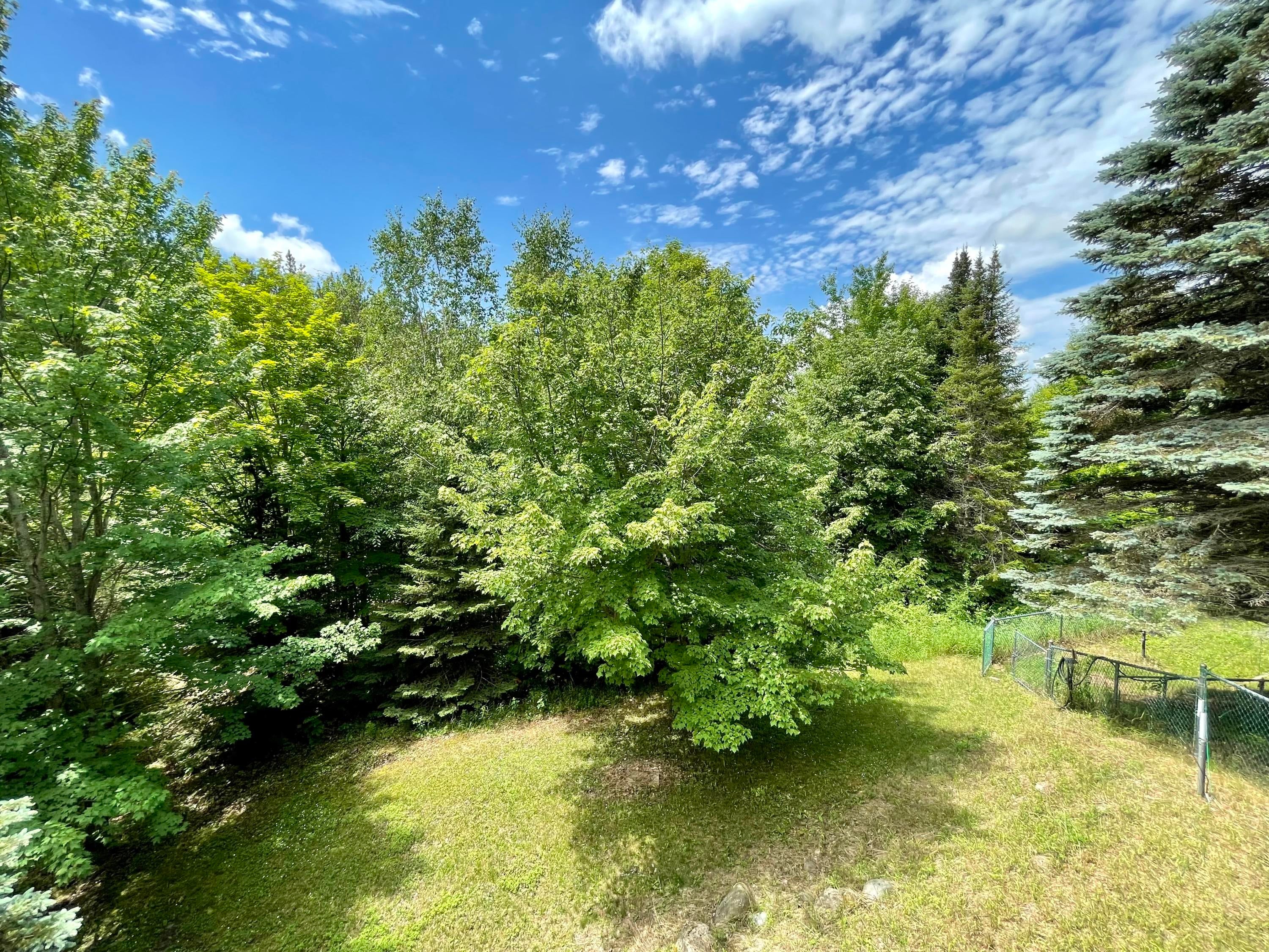 5340 Knaffle Road Cheboygan, MI 49721 - Photo 44 of 58 Gallery Image 44