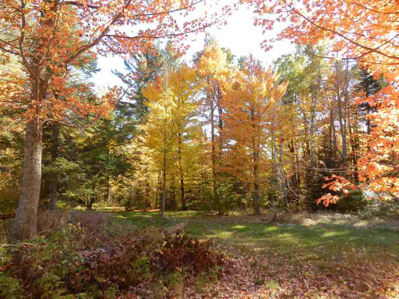 Belabachi Road, Unit 4 Bethlehem, NH 03574 - Photo 1 of 22 Gallery Image 1