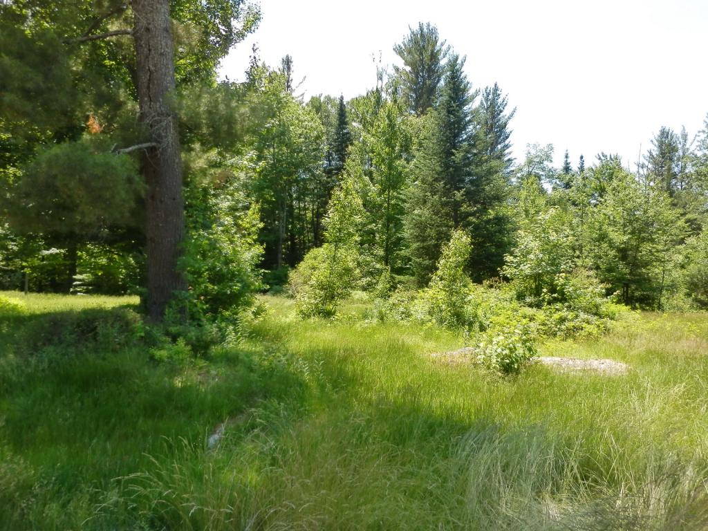 Belabachi Road, Unit 4 Bethlehem, NH 03574 - Photo 2 of 22 Gallery Image 2