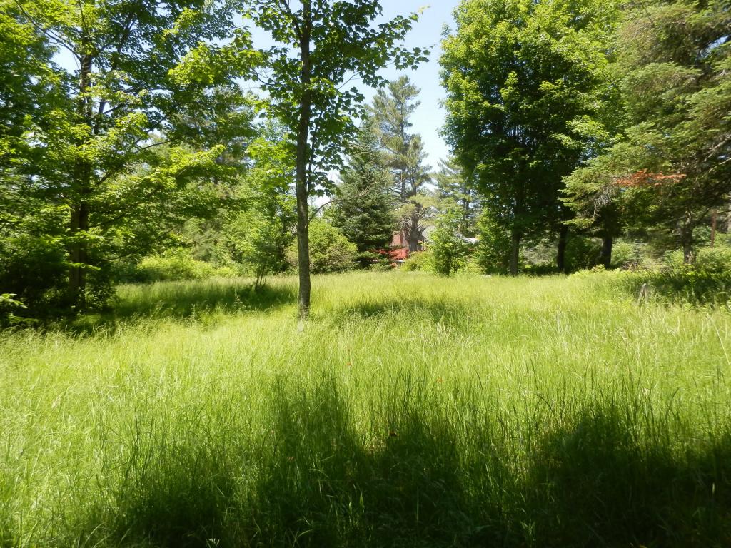 Belabachi Road, Unit 4 Bethlehem, NH 03574 - Photo 11 of 22 Gallery Image 11