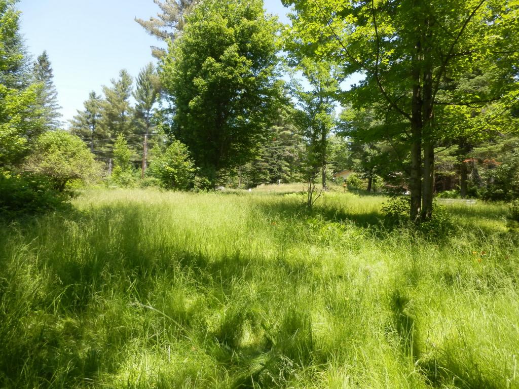 Belabachi Road, Unit 4 Bethlehem, NH 03574 - Photo 4 of 22 Gallery Image 4