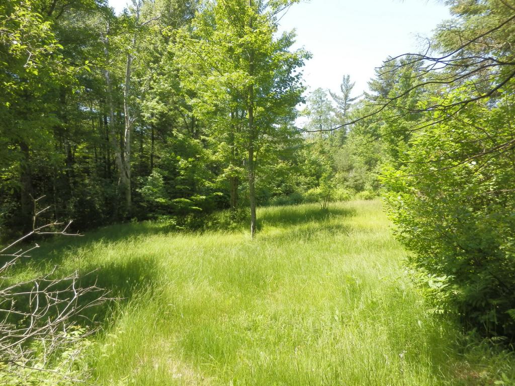 Belabachi Road, Unit 4 Bethlehem, NH 03574 - Photo 6 of 22 Gallery Image 6