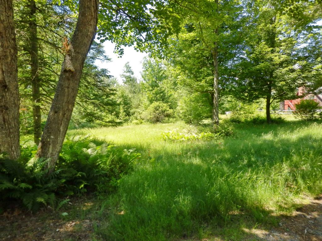 Belabachi Road, Unit 4 Bethlehem, NH 03574 - Photo 7 of 22 Gallery Image 7