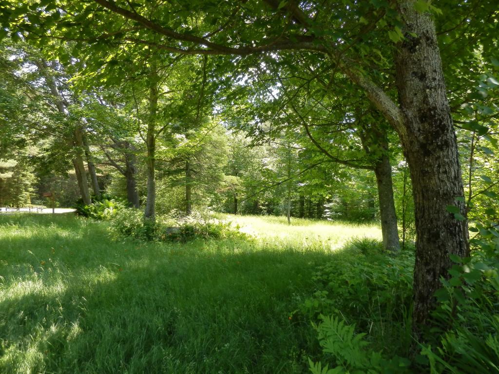 Belabachi Road, Unit 4 Bethlehem, NH 03574 - Photo 8 of 22 Gallery Image 8