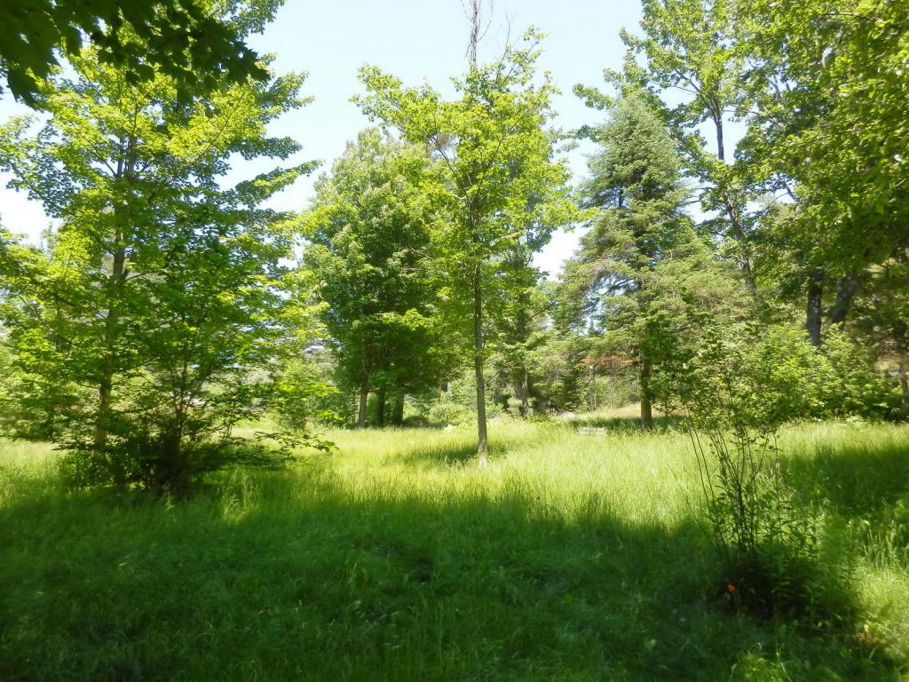 Belabachi Road, Unit 4 Bethlehem, NH 03574 - Photo 9 of 22 Gallery Image 9