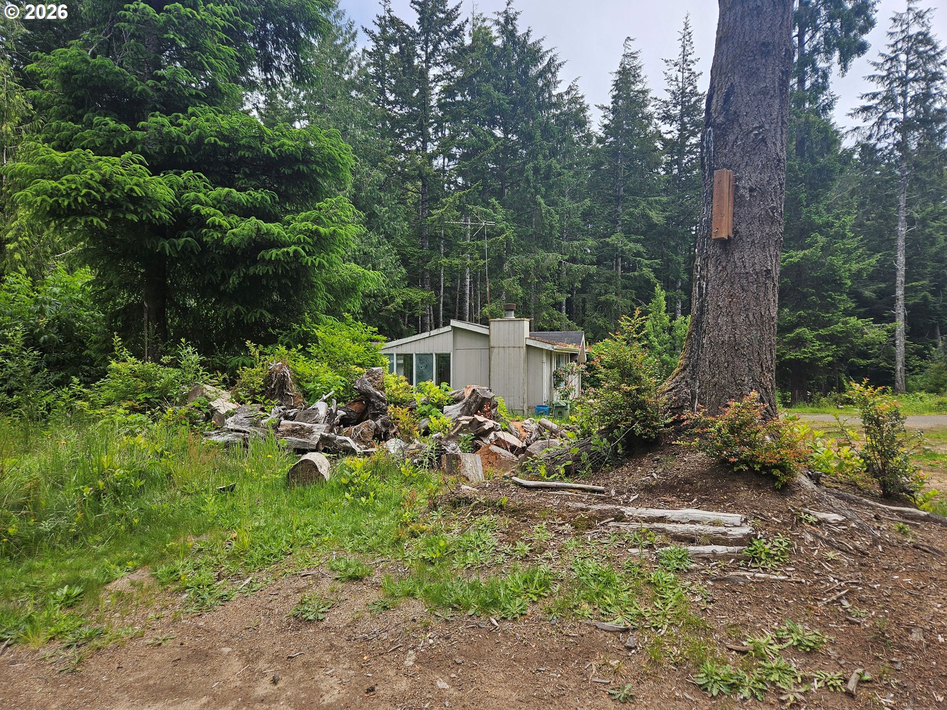 85210 Denton's Way Florence, OR 97439 - Photo 33 of 44