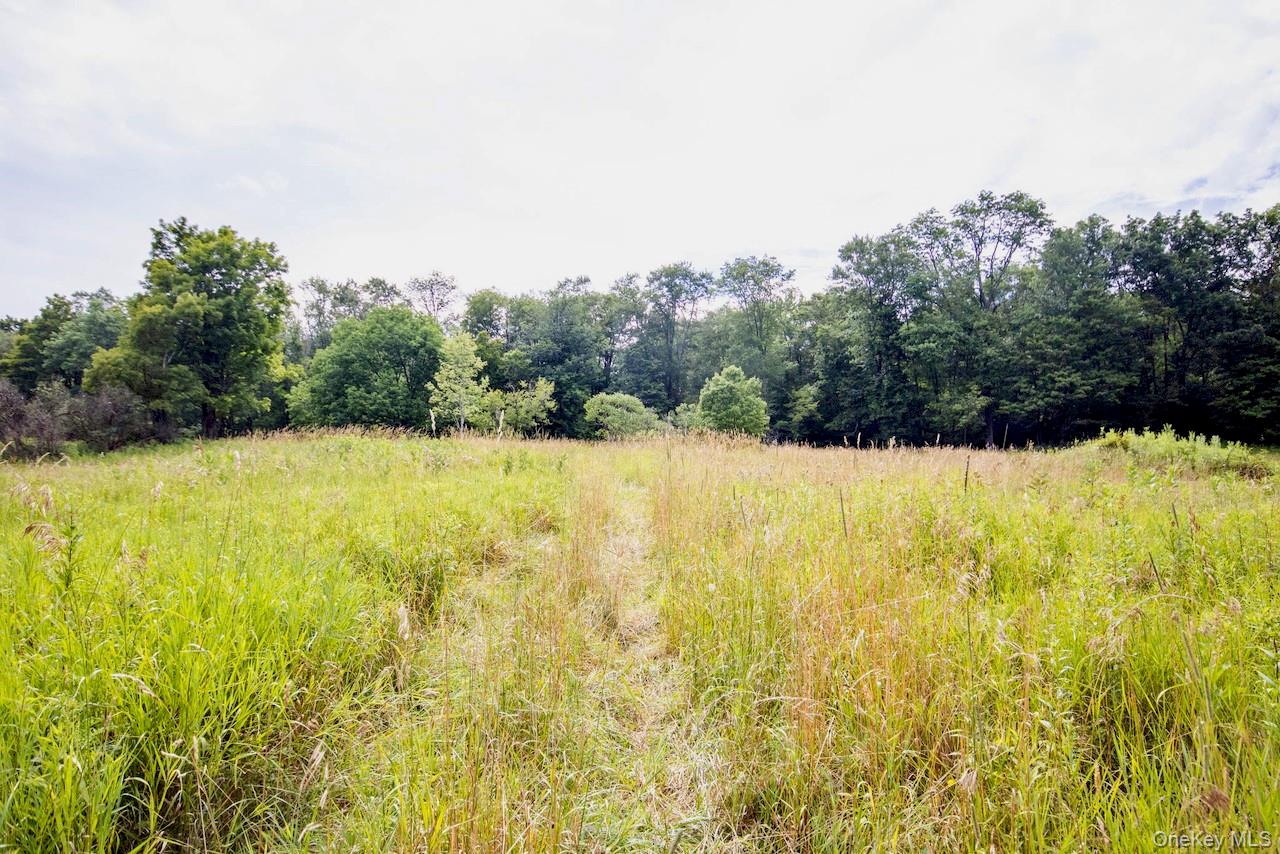 668 Starlight Road Monticello, NY 12701 - Photo 21 of 30 Gallery Image 21