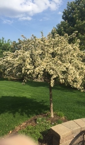 13454 Delaney Road Huntley, IL 60142 - Photo 23 of 26