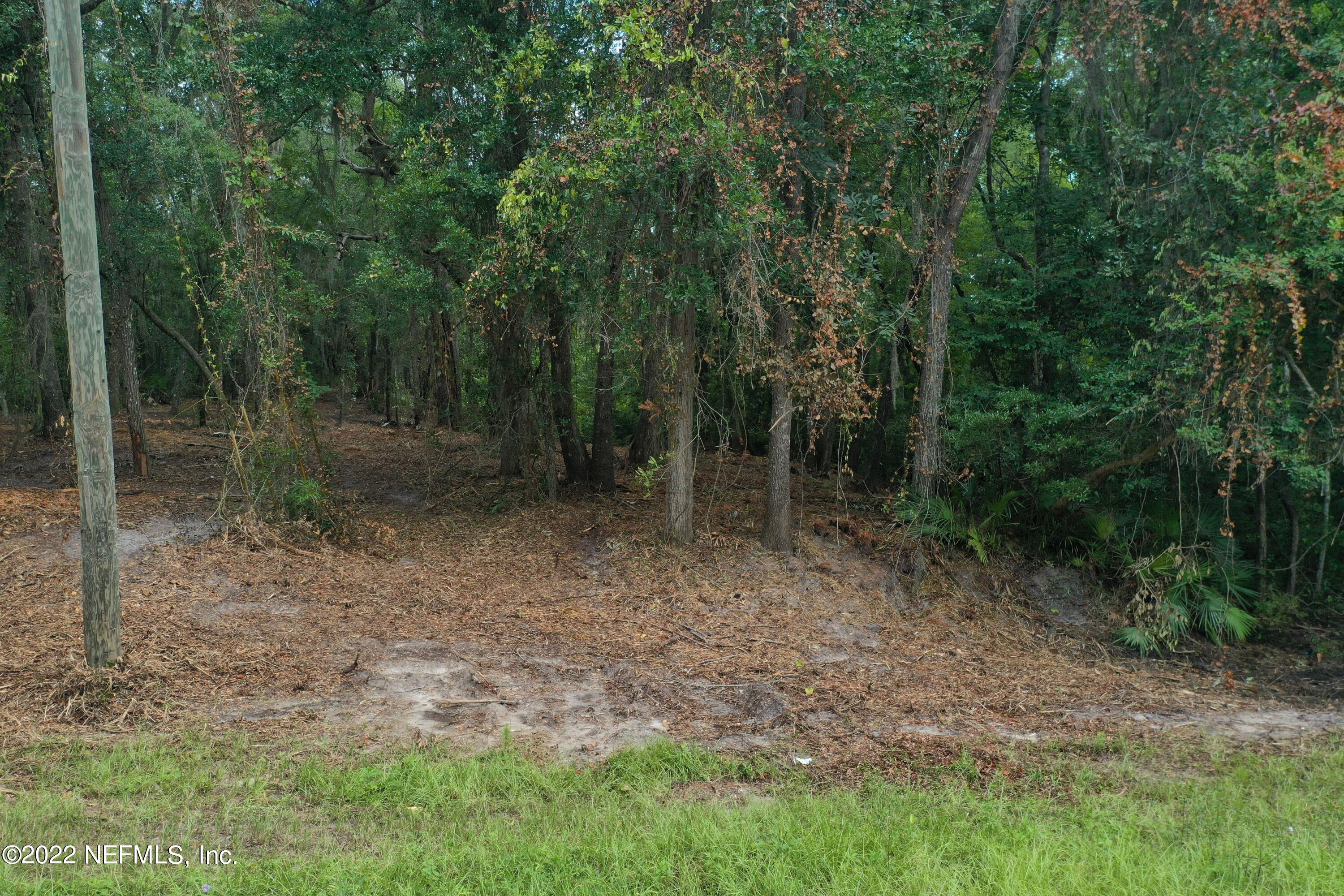 0 Roses Bluff Road Yulee, FL 32097 - Photo 3 of 17 DJI_0456