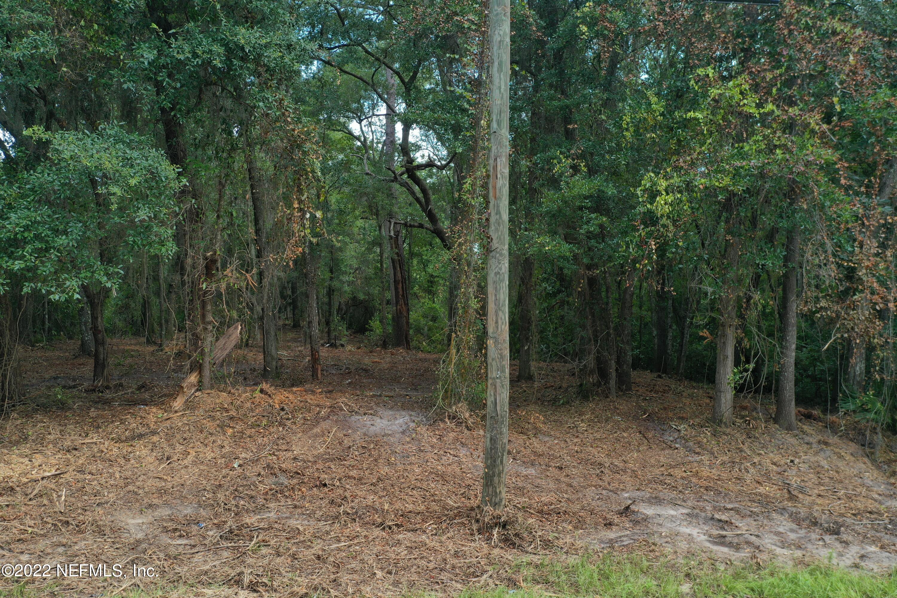 0 Roses Bluff Road Yulee, FL 32097 - Photo 4 of 17 DJI_0457