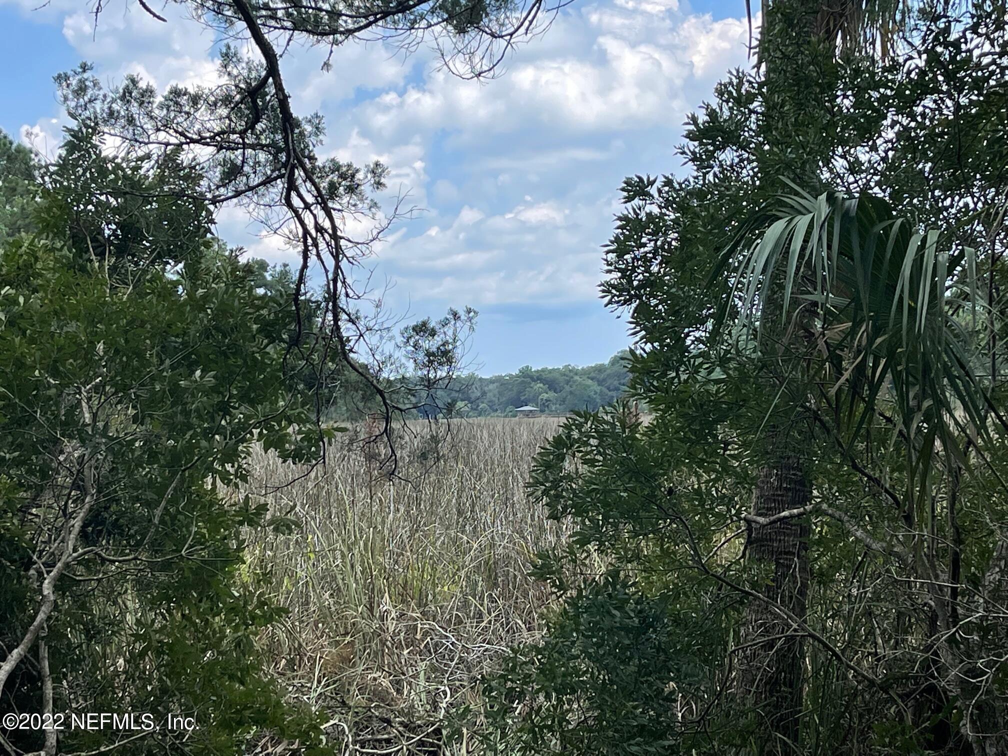 0 Roses Bluff Road Yulee, FL 32097 - Photo 5 of 17 IMG_3734