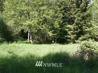 108 Churchel Road Randle, WA 98377 - Photo 1 of 1 Gallery Image 1