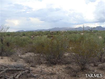 0 North Blue Bonnet Road Tucson, AZ 85742 - Photo 8 of 12