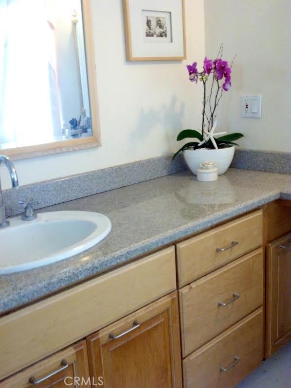 32492 Azores Road Dana Point, CA 92629 - Photo 13 of 18 a bathroom with a sink and a potted plant