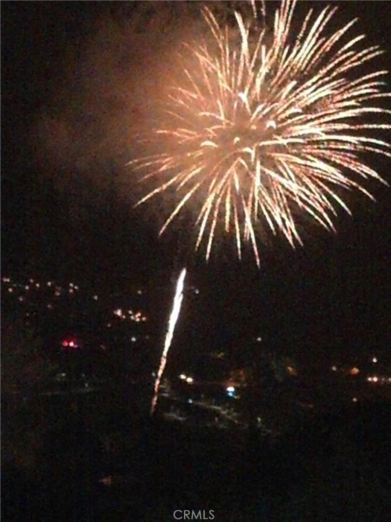 32492 Azores Road Dana Point, CA 92629 - Photo 17 of 18 a picture of a tree in a backyard