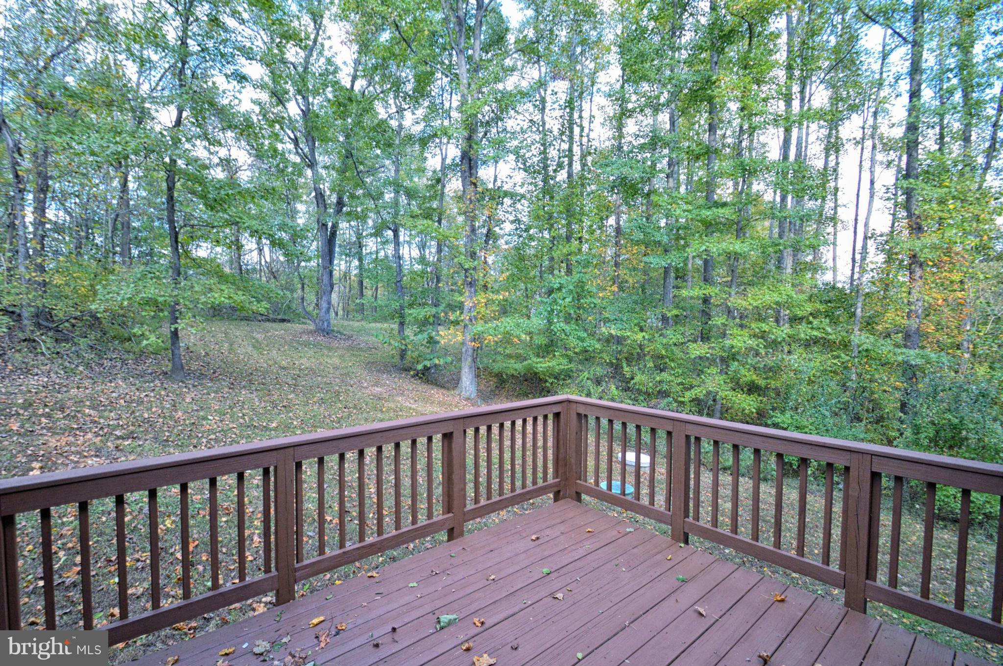6721 St Pauls Road King George, VA 22485 - Photo 8 of 30 View