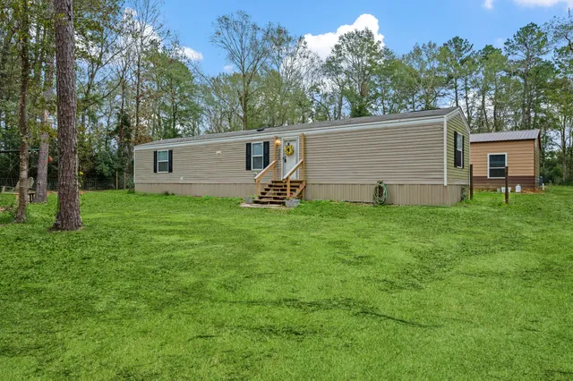 a view of a backyard with large tree
