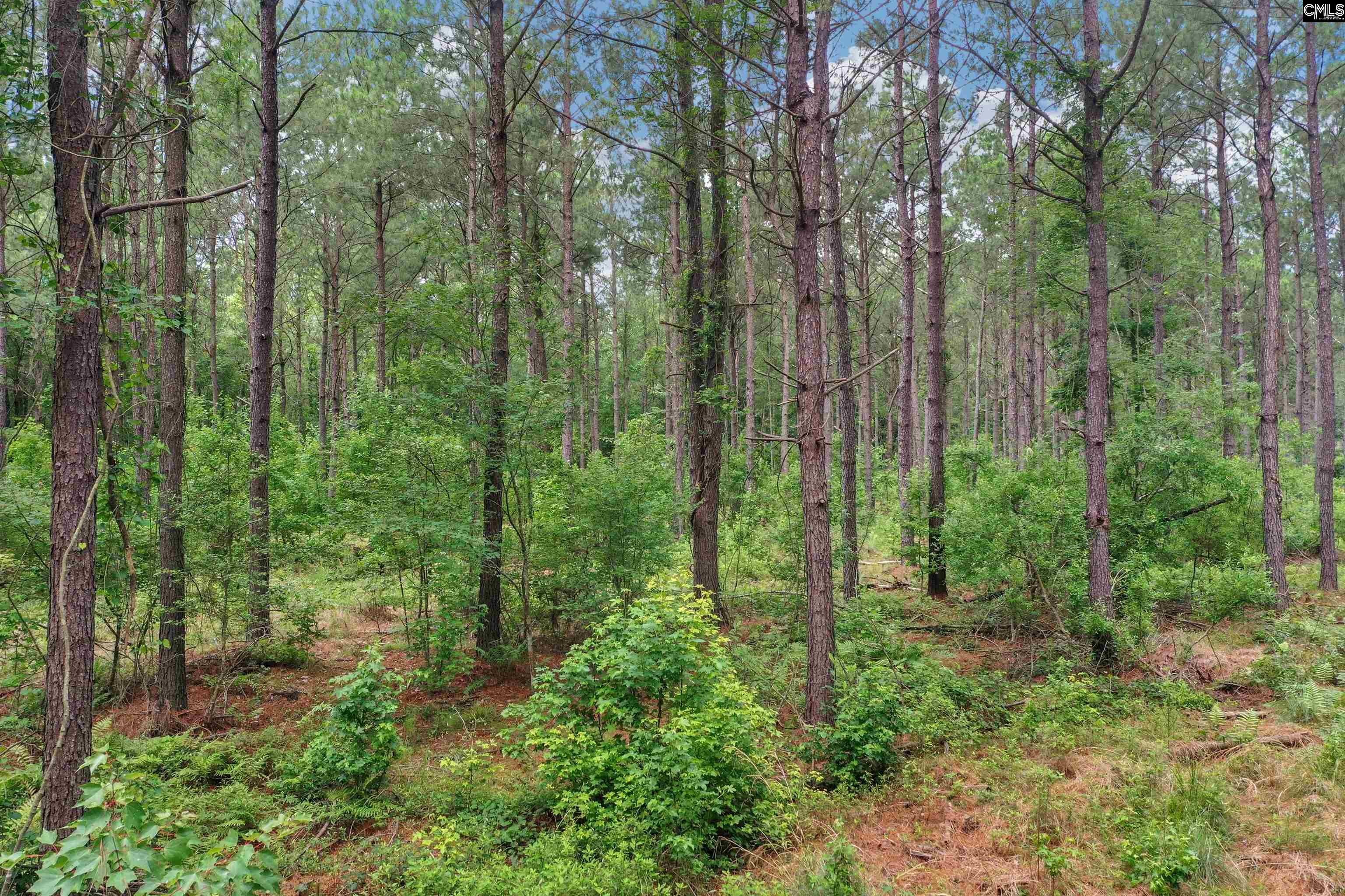 0 North Brewington Road, Unit 10 Manning, SC 29102 - Photo 11 of 29