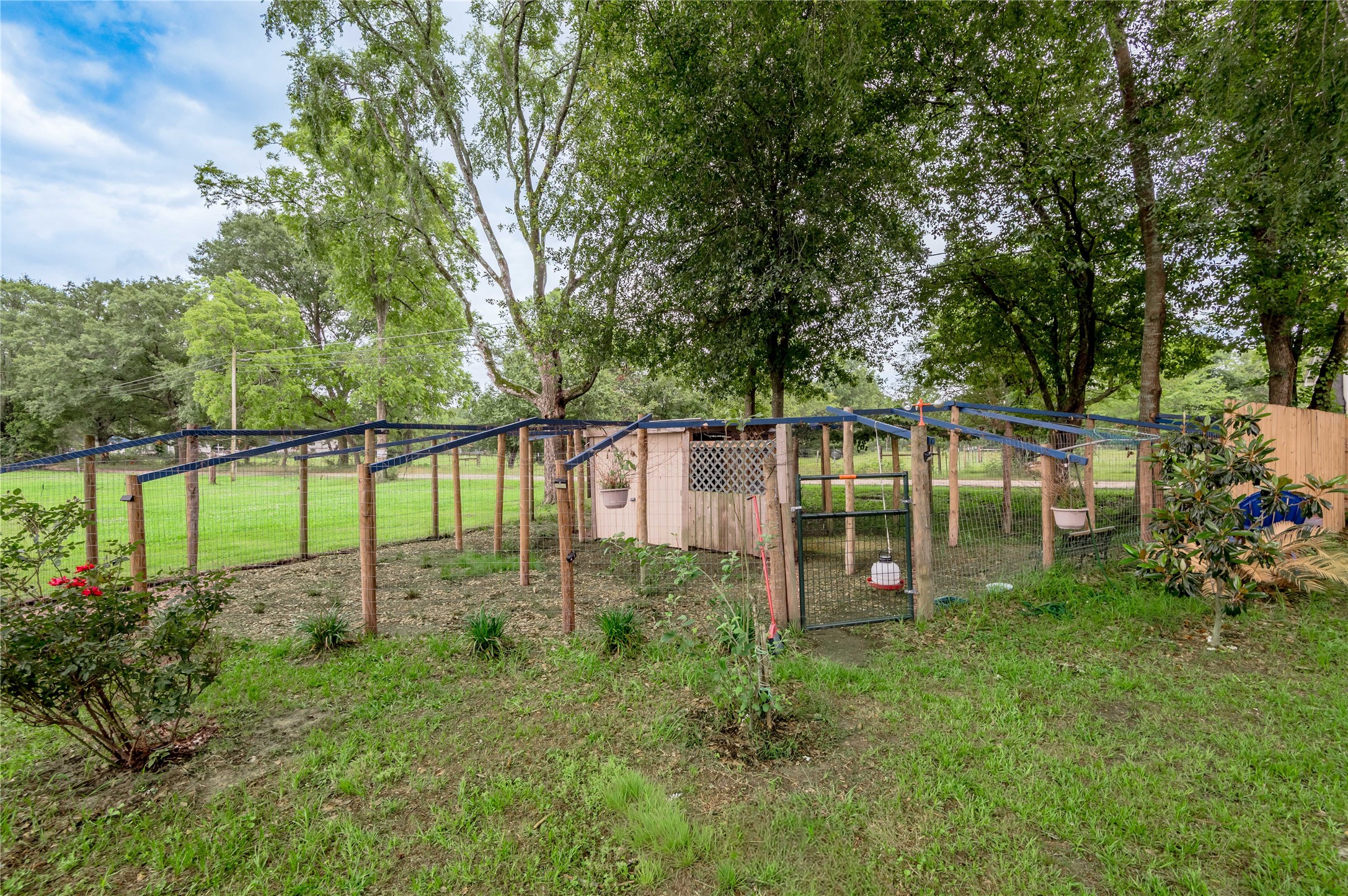 159 Pecan Avenue Groveton, TX 75845 - Photo 20 of 27 a view of a house with a backyard and a tree