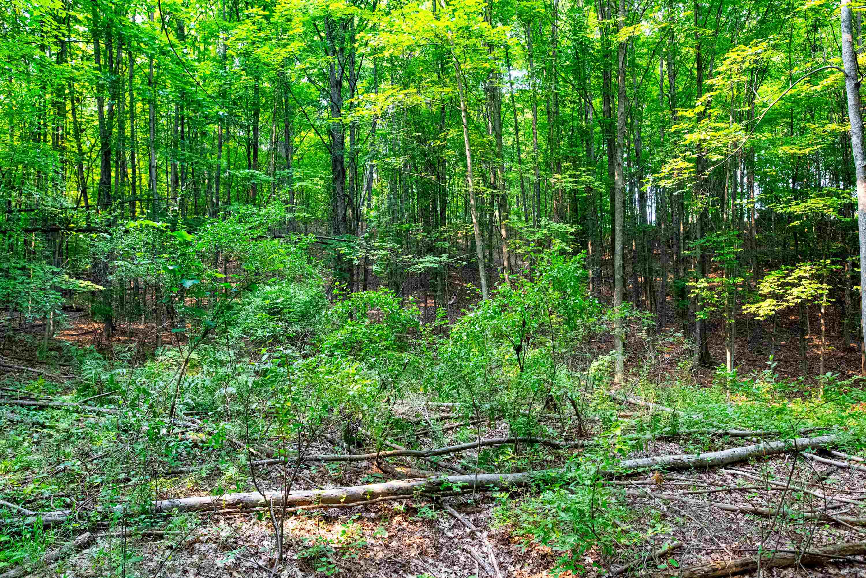 0 East Grandview Road Traverse City, MI 49684 - Photo 17 of 24