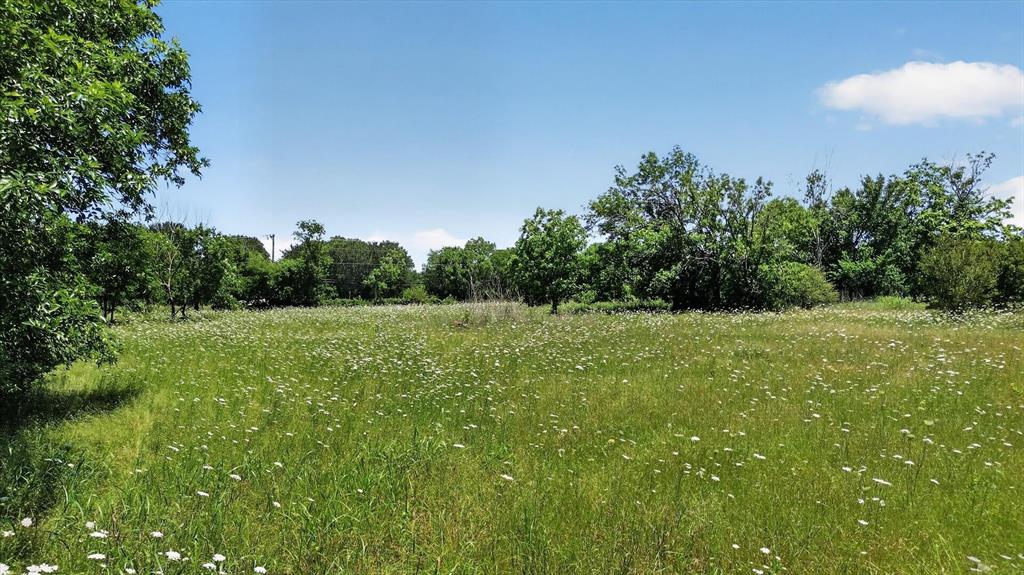 613 Main Street Quinlan, TX 75474 - Photo 8 of 16 Expansive green field featuring abundant white wildflowers under a clear sky