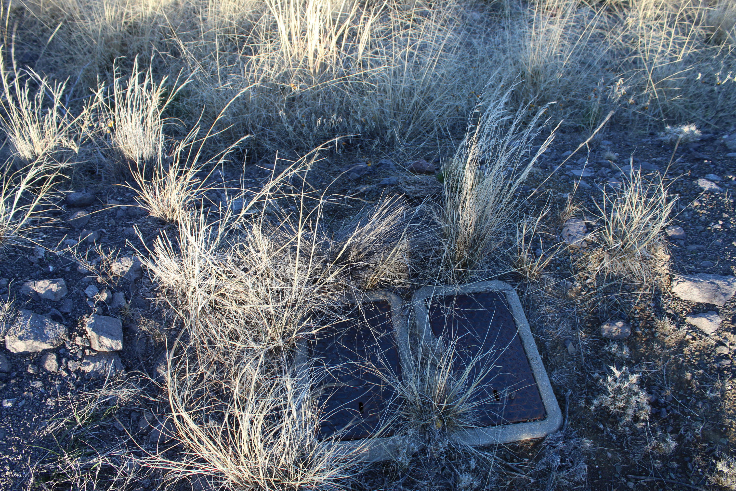 15265 East Countryside Road Mayer, AZ 86333 - Photo 5 of 12 a view of a forest