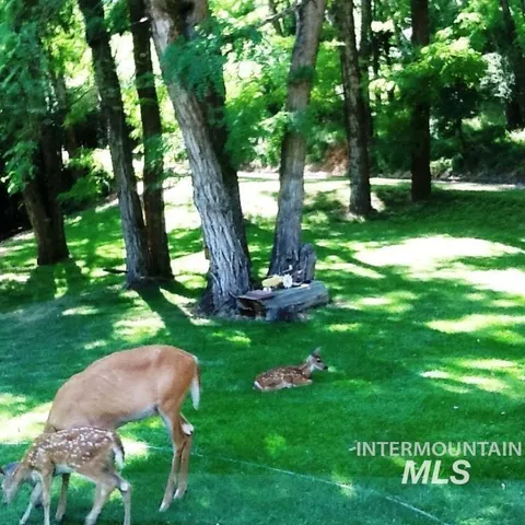 $650,000 | 307 Locust Road, Kamiah, ID 83536