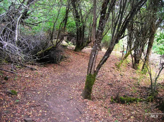 $650,000 | 307 Locust Road, Kamiah, ID 83536