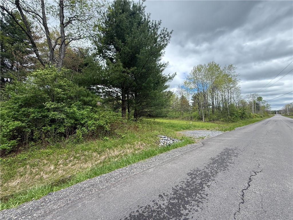 Caswell Road Freeville, NY 13068 - Photo 38 of 47