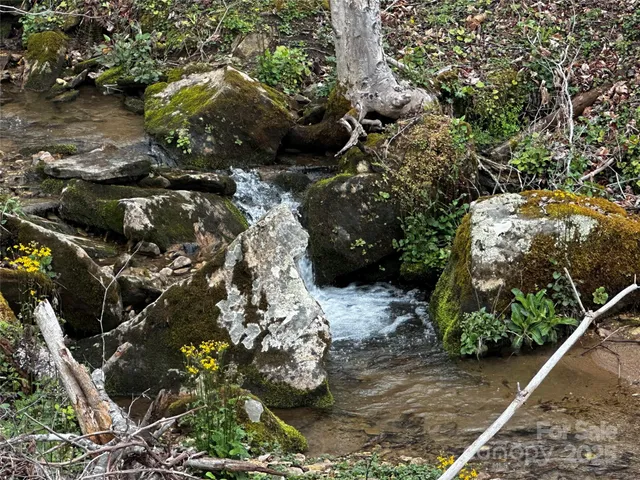 a view of a tree with plants