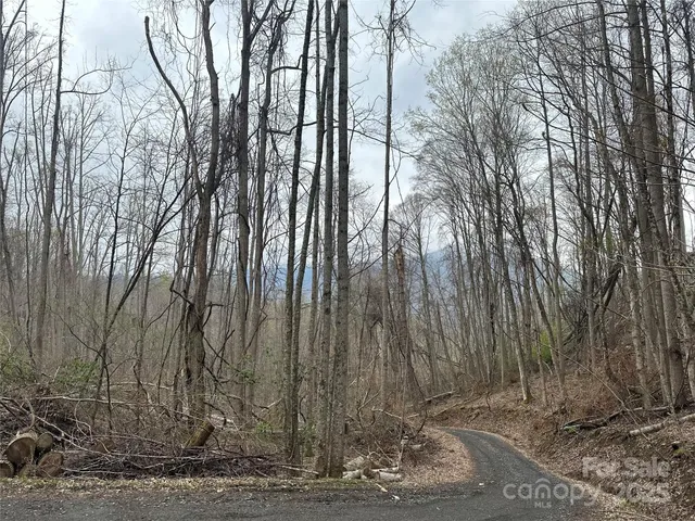 a view of outdoor space