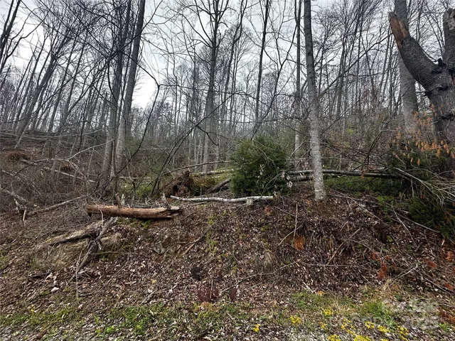 a view of backyard with green space