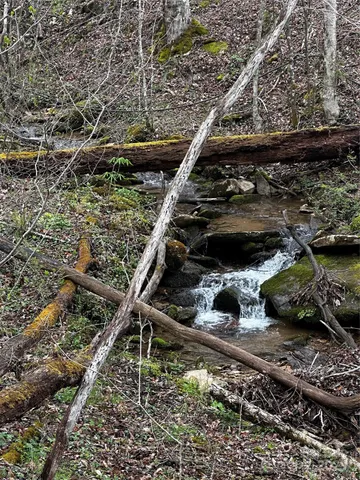 a view of an outdoor space