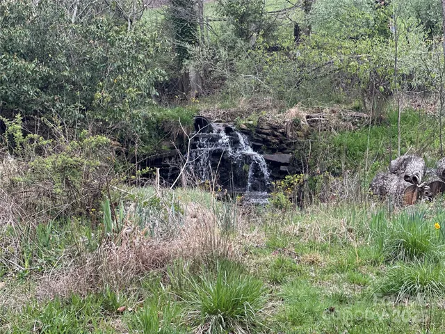 a view of a lush green forest with lots of trees