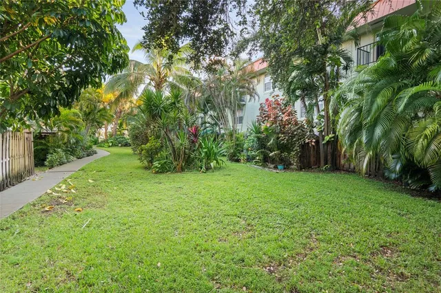 a view of a yard with a tree