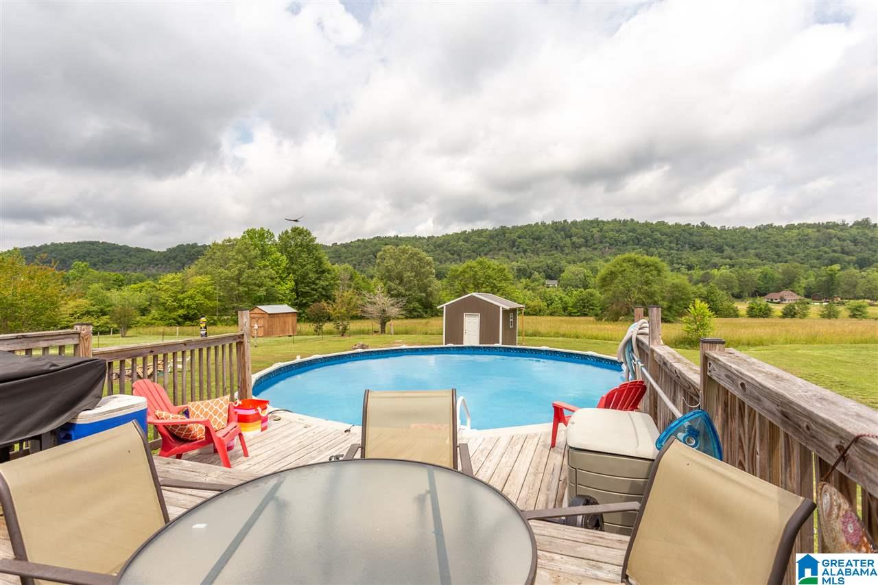 3663 Tidwell Hollow Road Oneonta, AL 35121 - Photo 39 of 41