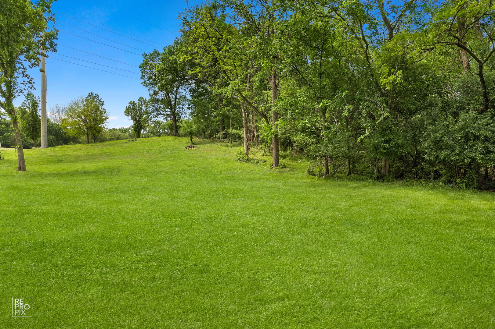 10S641 South Garfield Street Burr Ridge, IL 60527 - Photo 5 of 15 a grassy field with trees in the background