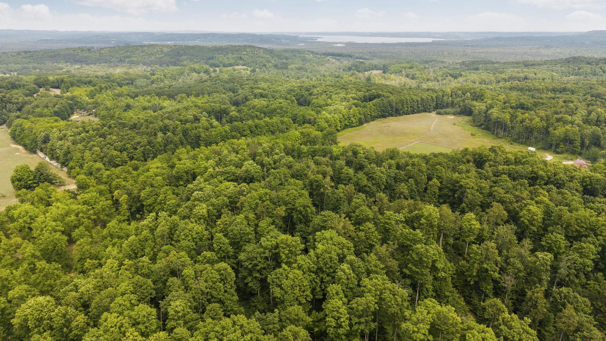 South Hill Road Cedar, MI 49621 - Photo 9 of 15