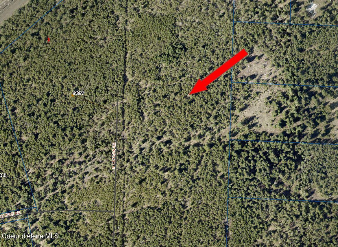 L28-b8 North Ceylon Road Rathdrum, ID 83858 - Photo 3 of 6 Close Aerial