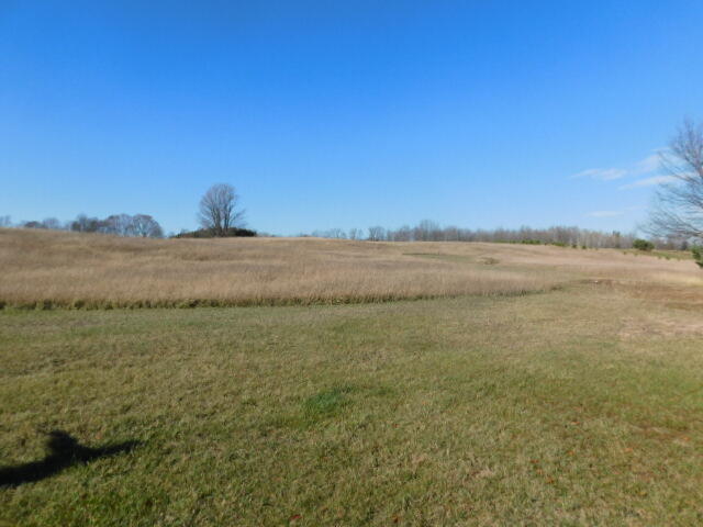 10908 Johnson Road Brethren, MI 49619 - Photo 22 of 54 DSCN1543