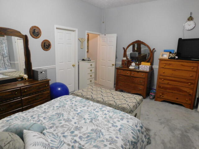10908 Johnson Road Brethren, MI 49619 - Photo 39 of 54 DSCN1502