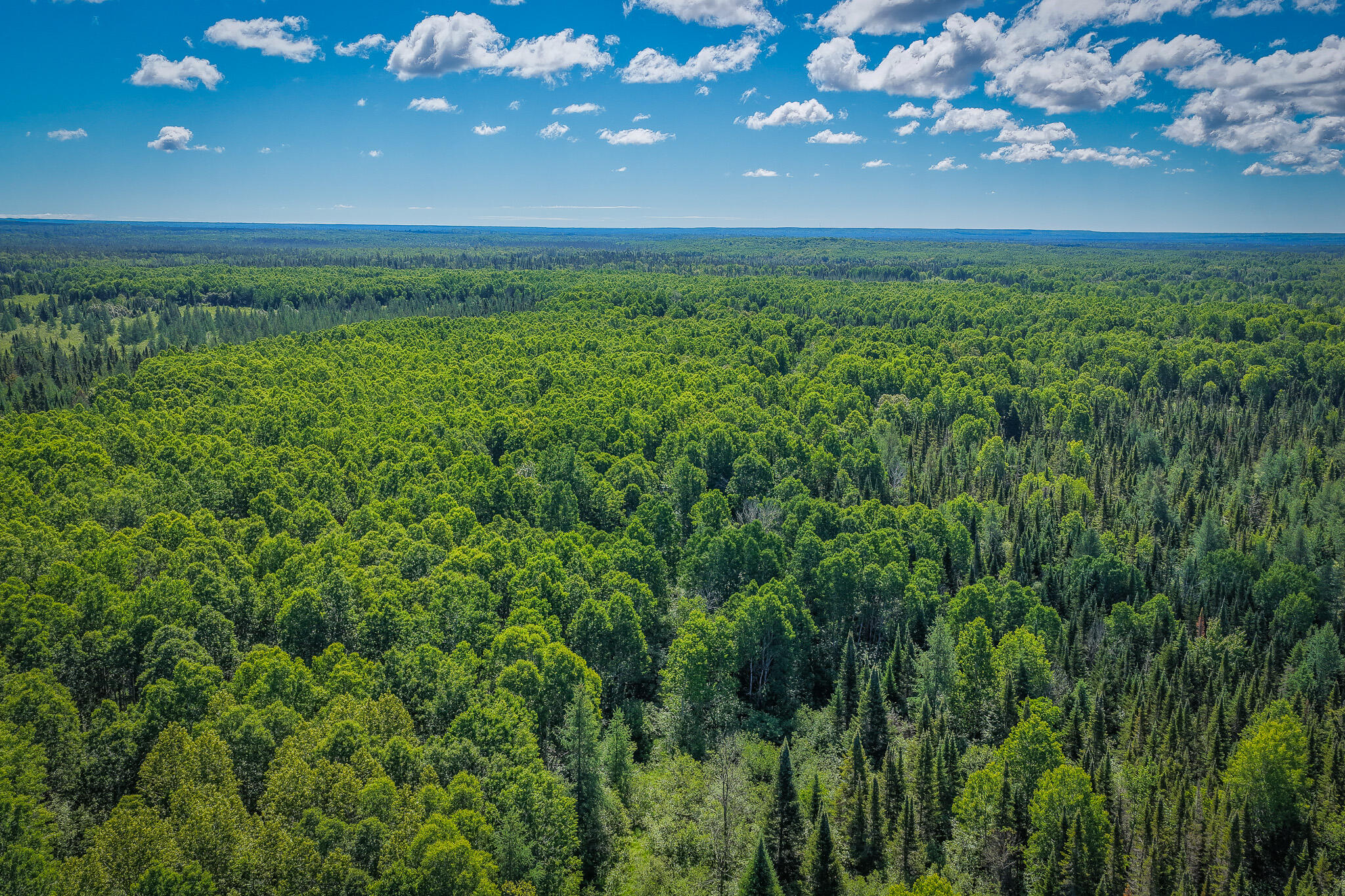 South North Hulbert Road Eckerman, MI 49728 - Photo 17 of 29 DJI_20260623031007_0021_D